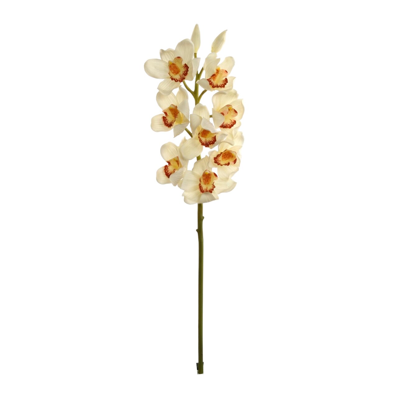 Cream Cymbidium Orchid Stem - 12-Pack, Real Touch Blooms, Elegant Floral Décor, Perfect for Arrangements, Events & Home - Ideal for All Seasons, Floral Home by Artificial Flowers